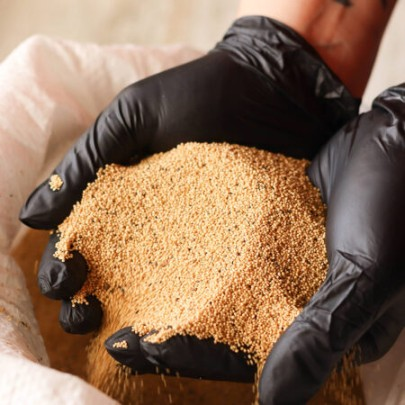 Мука амаранта фото 2