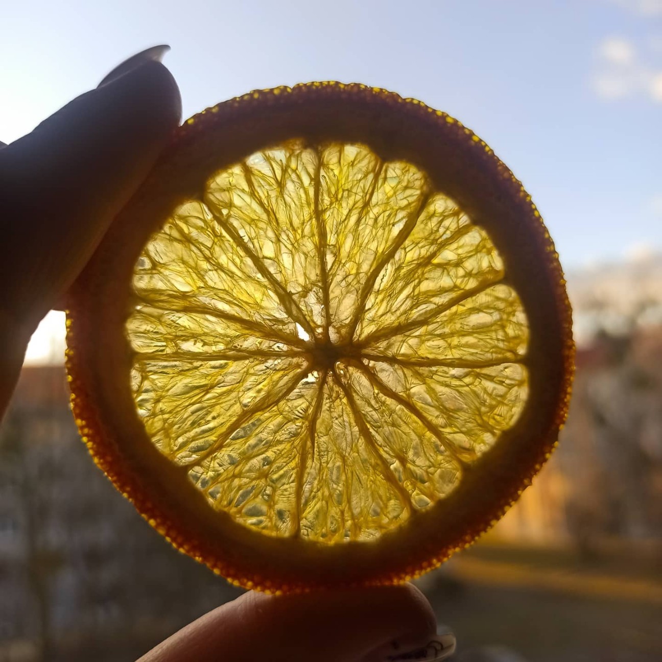 Фруктовые чипсы апельсин, 50 гр.